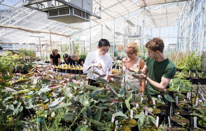 BEES Honours students in Glasshouse