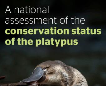 Platypus_assessment
