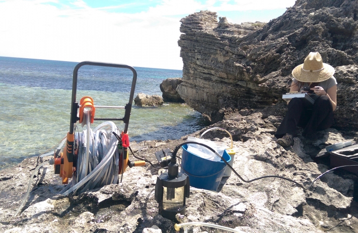 Marine science postgraduate students researching on rock at beach